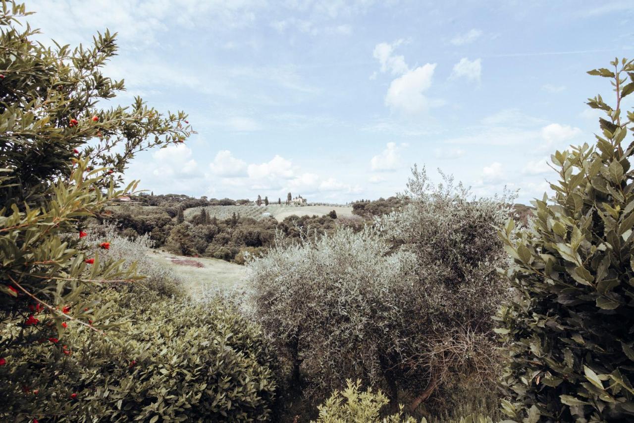 Agriturismo Il Pintello سان كاشّانو إنْ فال دي بيزا المظهر الخارجي الصورة